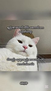 😁😁😁 | Random Daily Posts