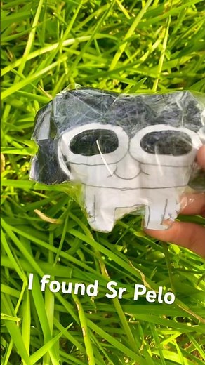 Sr Pelo found #trending #srpelo #meme
