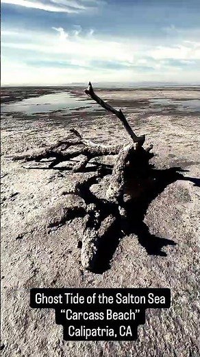 Carcass Beach – Exploring the Eerie Salton Sea Shoreline in Calipatria