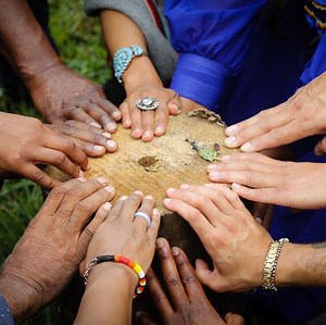 14 reactions | We here at Indigenous Peoples Movement are excited to...