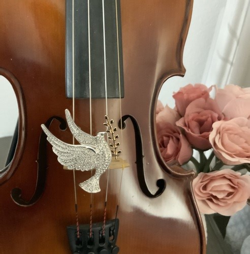 Introduction Violin for absolute beginners