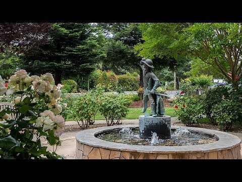 Exploring The Charming Town Of Yountville, California