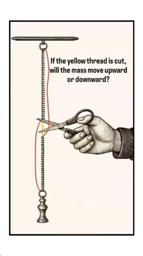 If the Thread is Cut, Will the Mass Go Up or Down? | Physics Spring Puzzle #shorts #trending #viral