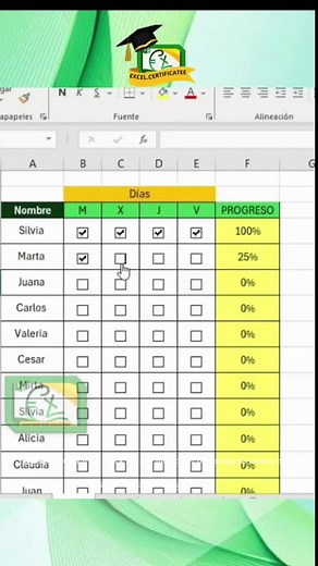 Cómo hacer un checklist en Excel #curso100online #certificate #Educacionvirtual #aprendedesdecasa🏠 #ExcelParaNegocios #dominaexcel #excelavanzado #aumentatuproductividad