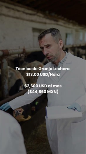 Salarios de nuestras posiciones