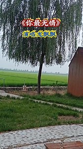 龙飘飘🎤《你最无情》经典老歌🎶句句入心，伤感好听👍 | Wong King Leng