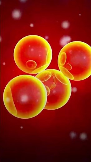 NASA Uncovers Unusual Objects Moving Close to the Sun