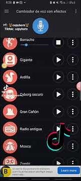 cambiador de voz con efectos 2 #voicechanger