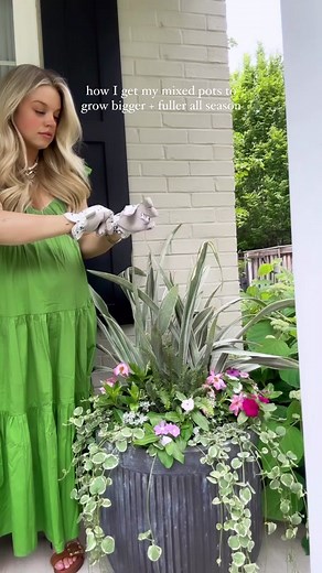 Revitalize Your Front Porch Flower Pots with Pennington Plant Food