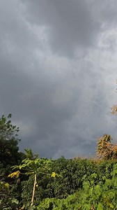 ¿Será que llueve? | 14 TV