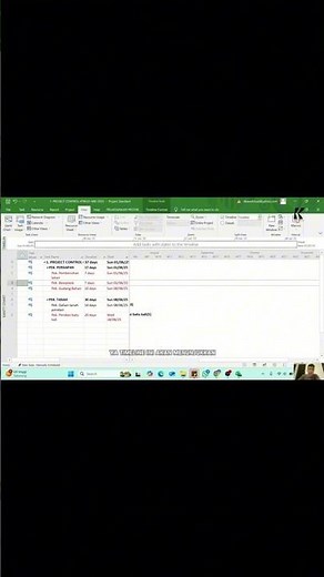 Timeline Function in MS Project