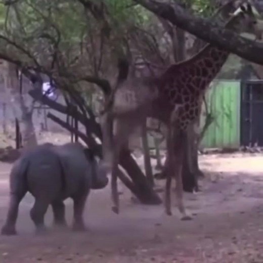 203K views · 9.2K reactions | When shootin your shot goes wrong. 漣 憐 #tonybakervo | Tony Baker | Facebook