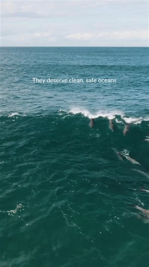 We're facing a massive threat of more oil spills on America's coastlines, and we only have a few days left to act! The Trump administration is proposing to expand offshore drilling off the coasts of California, Alaska, and the Gulf of Mexico—including Florida—putting pristine waters and precious wildlife at risk. The good news? We can prevent this enormous expansion of drilling and spilling before it’s too late. Now is the time to make your voice heard. Add your name to stand up for our oceans t