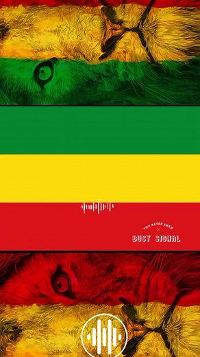 Busy Signal 'You Never Knew' on Silver Plate Riddim