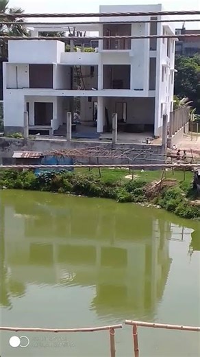 window show#nature #naturelovers #natural