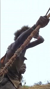 #hadzabetribe #africa #documentary Wilderness survival of the Hadzabe tribe