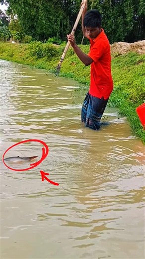 This Fishing Technique is INSANE! 🎣💥 #shorts #fishing