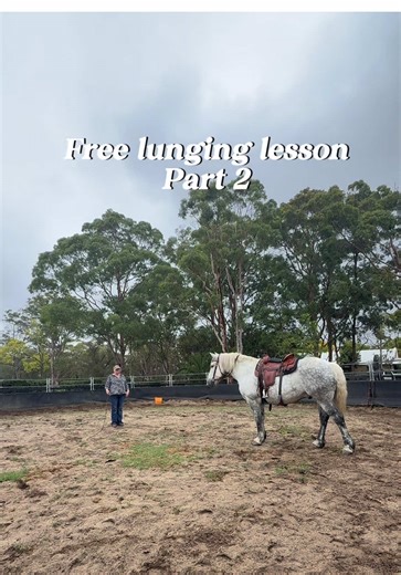 Improving Communication in Free Lunging Horses