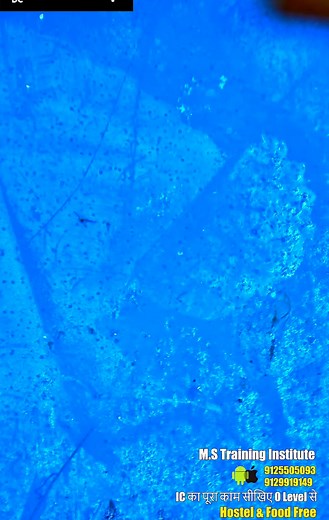 4.1K views · 44 reactions | Mobile Display Connector Repair...