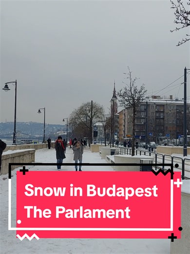 The Parlament and the Danube in Winter Budapest🌨❄️🥶 #Budapestguide #winterinbudapest #Danube #budapest #Parlament