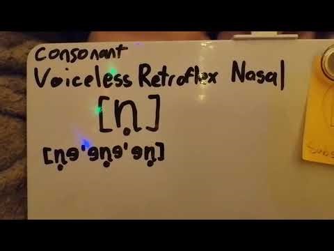 [Consonant] Voiceless Retroflex Nasal [ɳ̊]