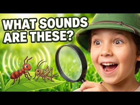 Insect Sounds Challenge | How Many Can You Name? 🐝