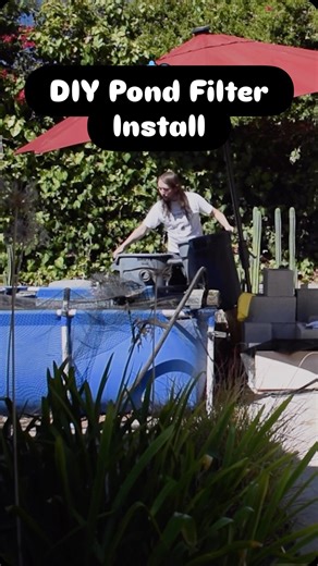 This is part 1 of installing the big DIY pond filter on my pool pond. #pond #diypond #pondfilter #pondfiltration #poolpond | YouTube Tobias