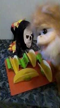 Celebrity Chef Always Uses Taco Holders, but only if taco stands are cactus shape.