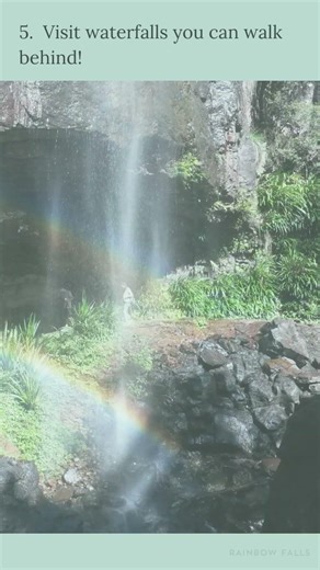 When you have one day in Springbrook!