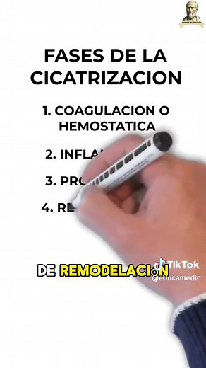 Fases de la cicatrización: Aprende y entiende el proceso