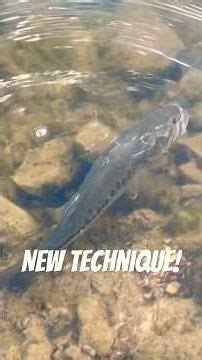 Early Spring Bass SLAMMED The Bobber & Jig Trick! 🎣 (Must-Try New Technique) #BassFishing #shorts