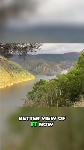 Maungatapu Ride Test and Maitai Dam View! #hondaminibike #maungatapu #offroad