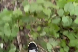 Latest updates on the Sukhoi Superjet 100 Crash in the Moscow suburbs on 12 July, killing all three crew members (flight number not known) : - The black boxes of the 2014 built Superjet 100 have been recovered and delivered to the Russian Interstate Aviation Committee (IAC). - The IAC, which is also investigating the crash, confirmed that it has received the onboard FDR and audio data recorders. - The devices were exposed to temperature and were significantly damaged, but specialists managed to 