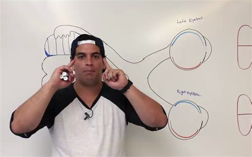 视神经和视觉通路 Optic Nerve _ Cranial Nerve II - Visual Pathway and Lesions [FnCiLD4