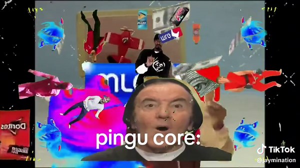 Fun Pingu Edit Made on a Plane