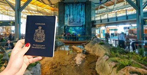 You can now get your passport within 10 days at the Surrey office | News