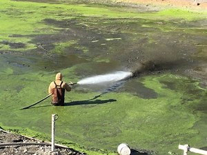 Sludge Reducing Bacteria | Air Diffusion Systems