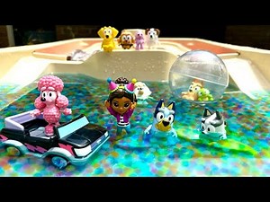 Bluey & Friends Rainbow Swimming Pool!! 💦🌈