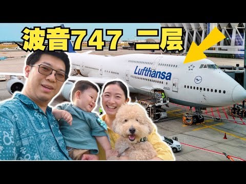 17-hour In Lufthansa Business Class With A Baby And Dog, Nightmare Experience?