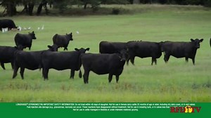 LongRange TV Spot, 'Cattle Parasite Control'