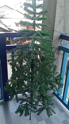 My Christmas Tree with a buy 1 take 1 Solar Christmas Lights, Sobrang tipid sa kuryente at less worry na magkaroon ng sunog kahit makalimutang iswitch off.. ♥️♥️♥️#solarchristmaslight #fyppppppppppppppppppppppp #christmastree #christmas #smallaffiliate