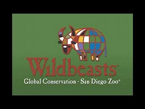 opening to baby genius a trip to the san diego 2004 DVD