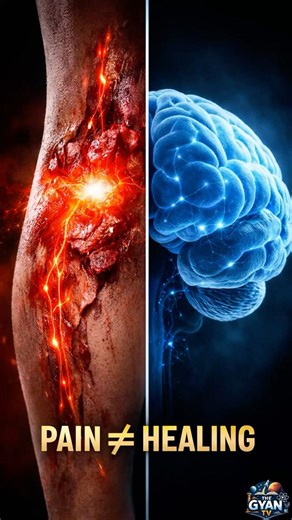 Painkiller dard theek kyun nahi karta? | Real Biology