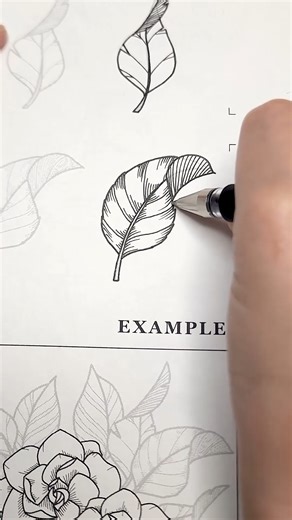 An easy leaf drawing to level up your flowers 🍃✨ | Aska Hall