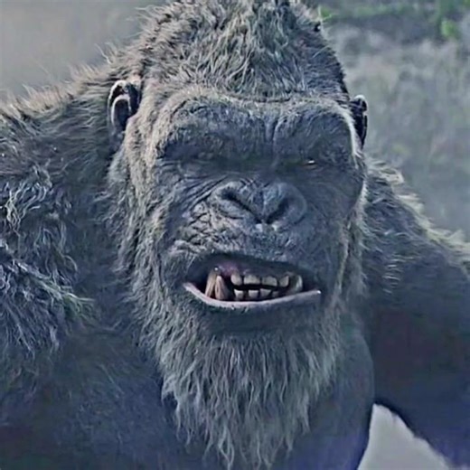 Kong vs Giant Monsters Fight Scene 🔥 | Kong Dominates All Enemies | Godzilla x Kong The New Empire