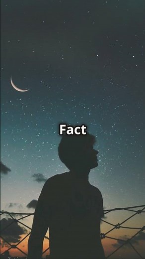 7 fascinating Lightning Bug Facts!