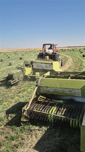 Markant claas55 belar machine with volvo650 tractor.. #allah #growingup #maxico #irrigation #Amazing @highlight HighLight Tattoo - Xăm Hình Nghệ Thuật Huế | Agriculture Sa