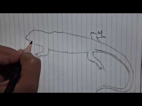 How to draw lizard #drawing