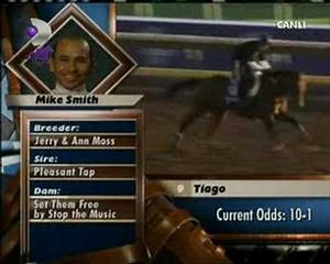 2007 Breeders Cup Classic CURLIN