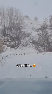 8.5K views · 9.4K reactions | Önümüze çıkan güzellikler  #huntingtonbeach #huntington #hunting #huntingdogs #househunting #hunterxhunter #hunter #hunterhunter #hunters #keklik #kekli̇k #partridge | Kadir Yağcı | Facebook